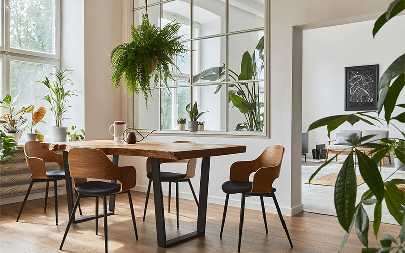 Esszimmer im minimalistischen Design mit Pflanzen